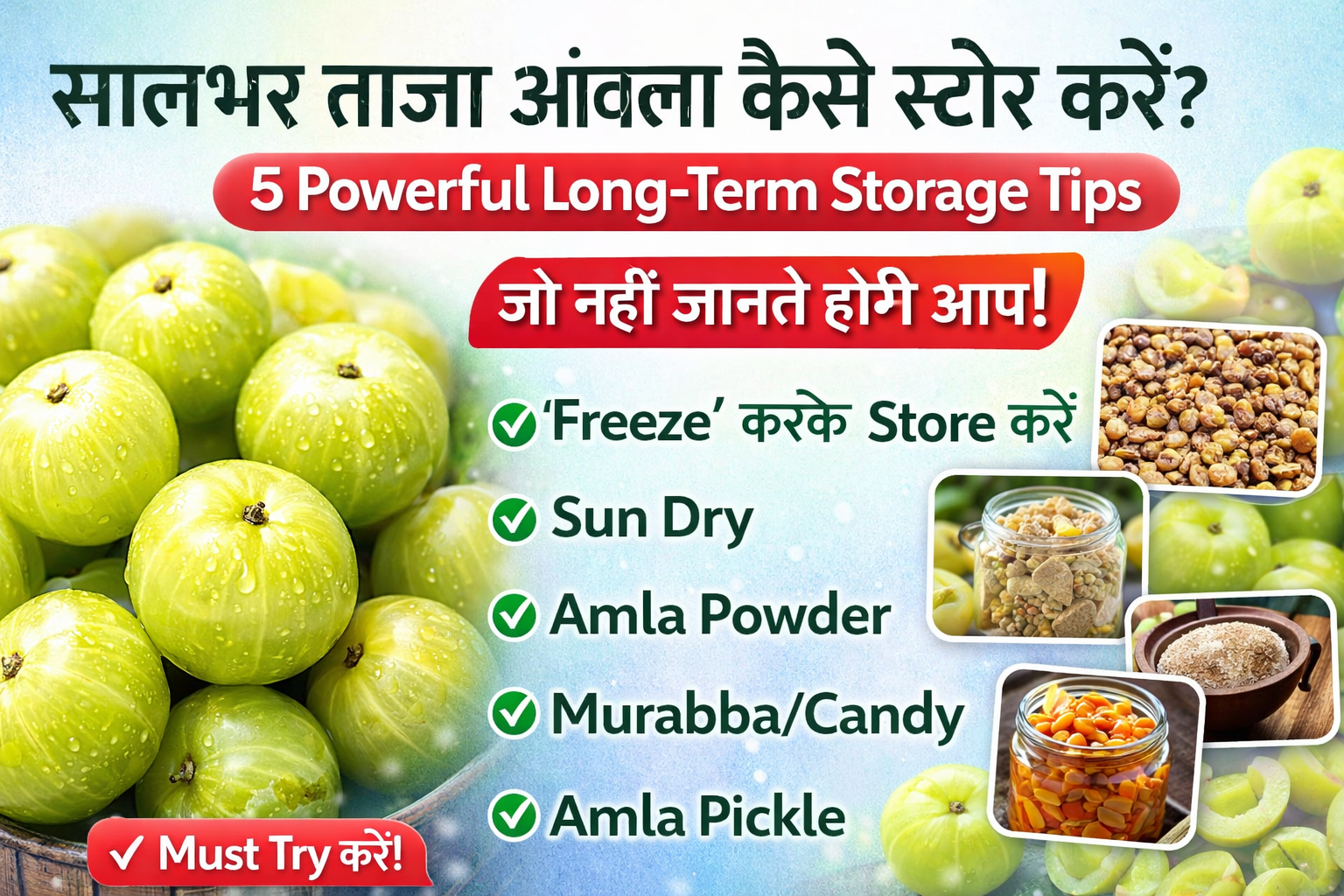 सालभर आंवला कैसे स्टोर करें – 5 Powerful Long Term Storage Tips, जिसमें freeze, sun dry, amla powder, murabba और pickle method दिखाए गए हैं।